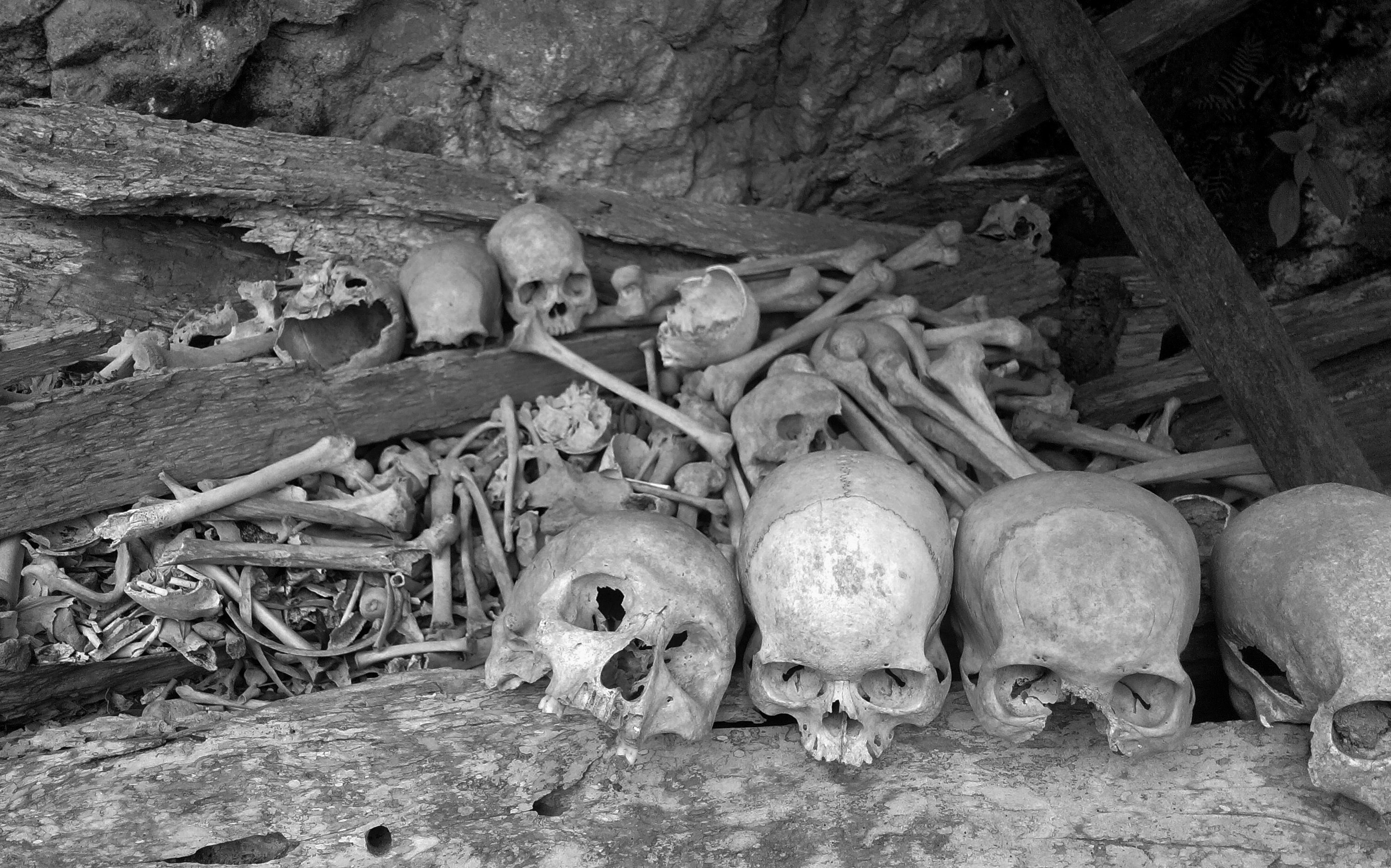 Photo by Muallim Nur: https://www.pexels.com/photo/grayscale-photo-of-skulls-and-bones-8955245/