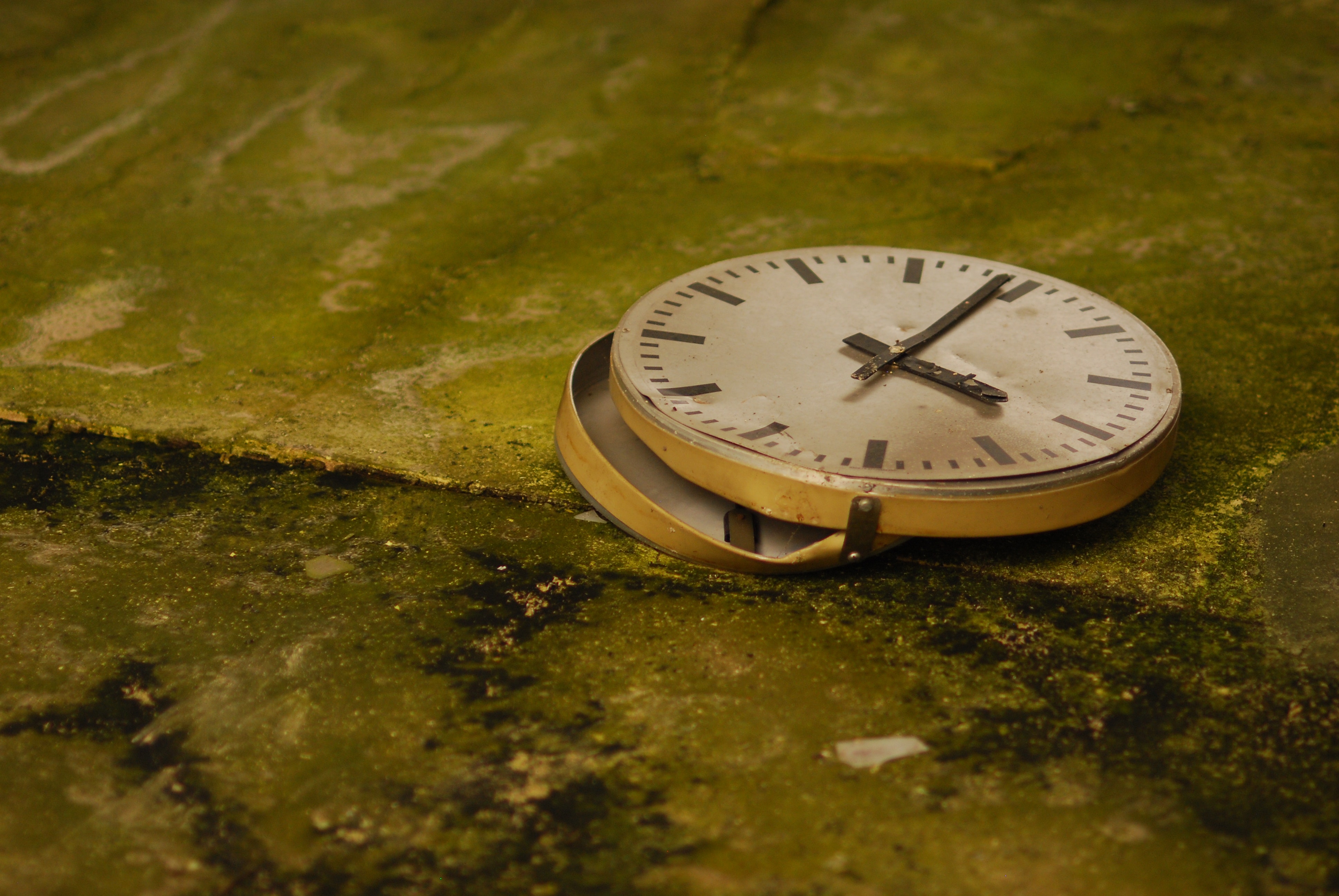 Photo by Clarissa Schwarz: https://www.pexels.com/photo/broken-watch-on-a-moss-covered-ground-12501261/